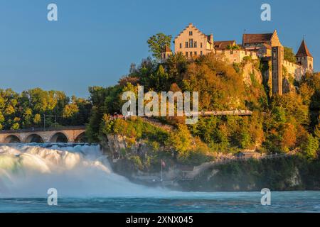 Cascate del Reno di Sciaffusa con Schloss Laufen, Neuhausen bei Schaffhausen, Cantone di Sciaffusa, Svizzera, Europa Foto Stock