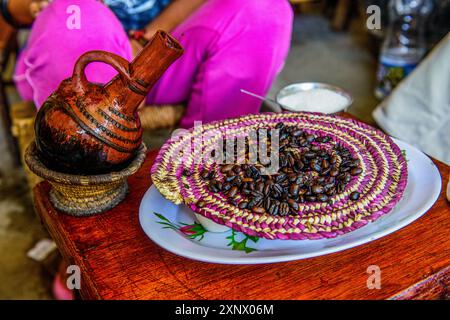 Chicchi di caffè appena tostati, Keren, Eritrea, Africa Foto Stock