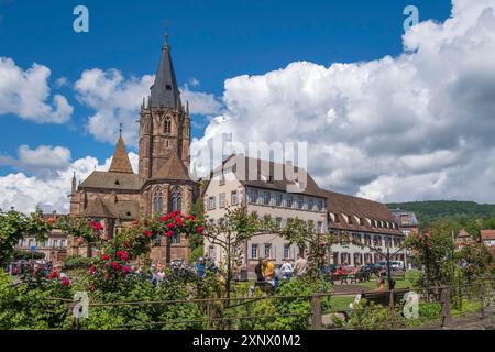 Chiesa Collegiata di San Pietro e Paolo, Abbatiale Santi Pierre e Paul, Wissembourg, Parco naturale dei Vosgi settentrionali, Vosgi, Alsazia, Francia Foto Stock