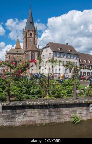 Chiesa Collegiata di San Pietro e Paolo, Santi Abbatiale Pierre e Paul, Canale Lauter, Wissembourg, Parco naturale dei Vosgi settentrionali, Vosgi, Alsazia Foto Stock