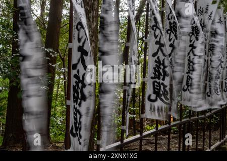 Pellegrini e vedute del Santuario Kumano Hongu lungo l'antica via di pellegrinaggio Kumano Kodo vicino a Hongu, Honshu, Giappone, Asia Foto Stock