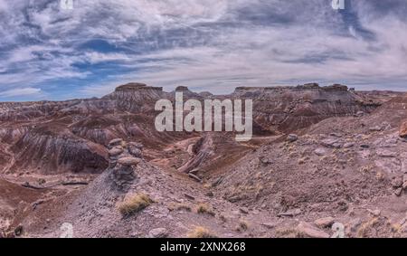 Un canyon viola con un torrente secco tra le colline di bentonite nel Petrified Forest National Park, Arizona, Stati Uniti d'America, Nord America Foto Stock