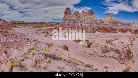 Alte torri hoodoo nella valle sotto Blue Mesa nel Petrified Forest National Park, Arizona, Stati Uniti d'America, Nord America Foto Stock