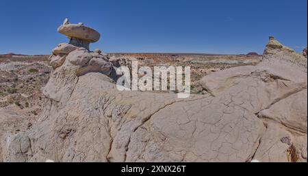 Guglia di arenaria a forma di fungo su una cresta erosa ad ovest di Hamilili Point nel Petrified Forest National Park, Arizona, Stati Uniti d'America Foto Stock