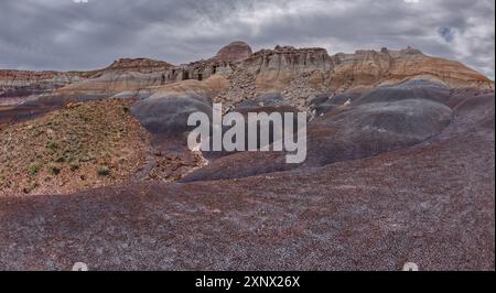 Hoodoo riempì le scogliere sul lato nord di Blue Mesa nel Petrified Forest National Park, Arizona, Stati Uniti d'America, Nord America Foto Stock