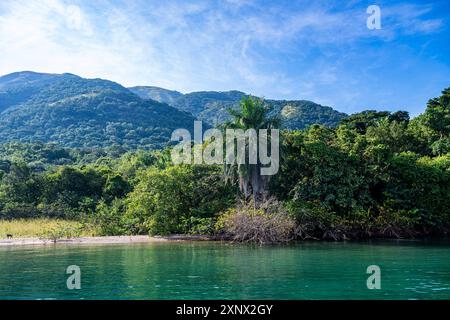 Foresta pluviale nel parco nazionale di Gombe Stream, lago Tanganica, Tanzania, Africa orientale, Africa Copyright: MichaelxRunkel 1184-12114 Foto Stock