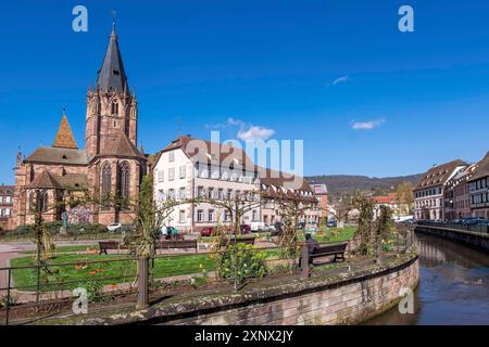 Chiesa Collegiata di San Pietro e Paolo, Santi Abbatiale Pierre e Paul, Quai Anselmann, Canale Lauter, Wissembourg, Parco naturale dei Vosgi settentrionali Foto Stock