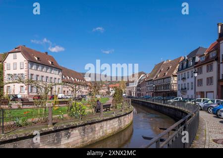 Quai Anselmann, Canale Lauter, Wissembourg, Parco naturale dei Vosgi settentrionali, Vosgi, Alsazia, Francia, L Foto Stock