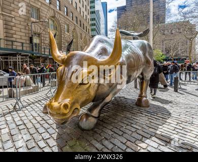 Scultura del Toro di carica, vicino a Wall Street, installata nel 1989 e simboleggia i mercati finanziari di New York, Stati Uniti d'America Foto Stock