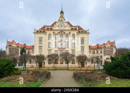 Scuola elementare e asilo nido Lyckovo namesti, Karlin, Praga, Repubblica Ceca (Cechia), Europa Foto Stock