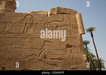 Bassorilievo, muro, complesso del tempio di Karnak, sito patrimonio dell'umanità dell'UNESCO, Luxor, Egitto, Nord Africa, Africa Foto Stock