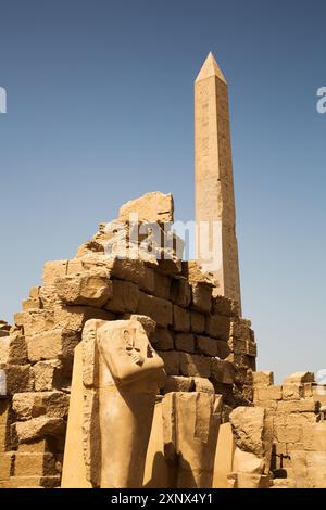 Statue in primo piano, Obelisco di Thutmose i, complesso del tempio di Karnak, sito patrimonio dell'umanità dell'UNESCO, Luxor, Egitto, Nord Africa, Africa Foto Stock