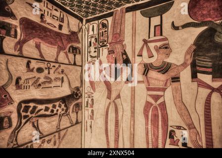 Immagine di Nefertari, dipinti e sollievo, tomba di Nefertari, QV66, Valle delle Regine, Antica Tebe, sito patrimonio dell'umanità dell'UNESCO, Luxor, Egitto Foto Stock