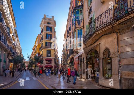 Vista di Placa del Marques del Palmer, Palma di Maiorca, Maiorca, Isole Baleari, Spagna, Mediterraneo, Europa Foto Stock