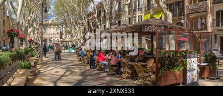 Vista dei caffè sul Paseo del Borne, Palma de Mallorca, Maiorca, Isole Baleari, Spagna, Mediterraneo, Europa Foto Stock