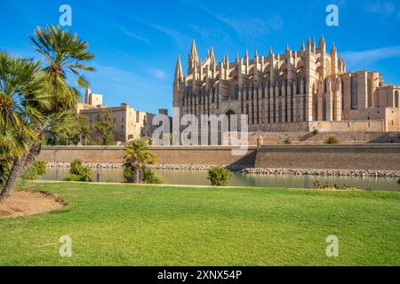 Vista della Cattedrale-Basilica di Santa Maria de Mallorca da Passeig Maritime, Palma de Mallorca, Maiorca, Isole Baleari, Spagna, Mediterraneo Foto Stock