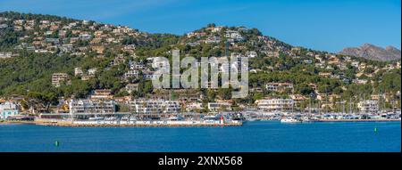 Vista di ville, case e appartamenti affacciati sul porto turistico di Port d'Andratx, Maiorca, Isole Baleari, Spagna, Mediterraneo, Europa Foto Stock