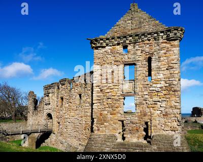 St. Andrews Castle, Fife, Scozia, Regno Unito, Europa Foto Stock