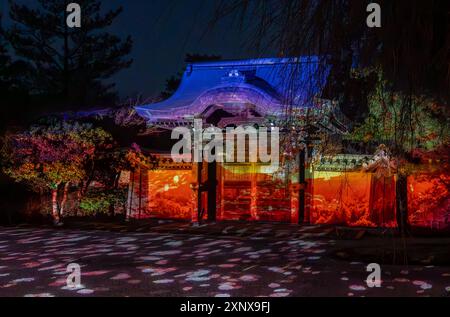 Illuminazione notturna nei templi durante la stagione dei ciliegi sakura e i festival di Kyoto, Honshu, Giappone, Asia Copyright: JulioxEtchart 1188-1 Foto Stock