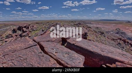 La vetta di Haystack Mesa nel Petrified Forest National Park, Arizona, Stati Uniti d'America, Nord America Copyright: StevenxLove 1311-989 Foto Stock