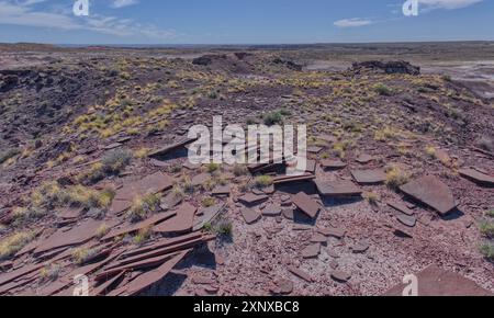 Lastre di arenaria marrone sulla cima del Crystal Mesa a ovest di Hamilili Point nel Petrified Forest National Park, Arizona, Stati Uniti d'America, No Foto Stock