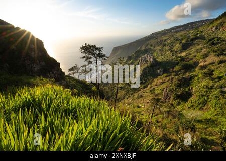 Atmosfera serale, verde paesaggio costiero su una ripida scogliera, mare e costa, punto panoramico Miradouro da Raposeira, Paul do Mar, Madeira, Portogallo Foto Stock