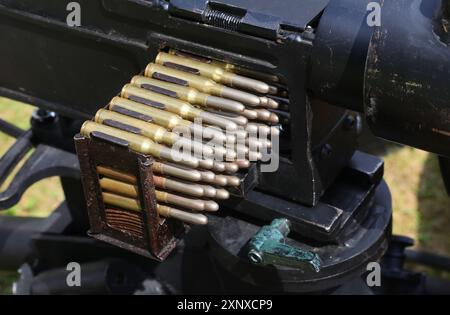 Molti proiettili usati nella storica mitragliatrice automatica della prima guerra mondiale in italia Foto Stock