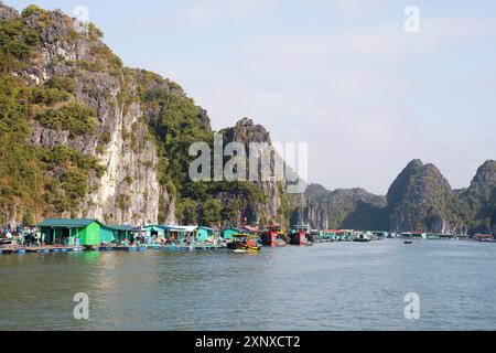 Il villaggio galleggiante di pescatori di Cai Beo e le rocce carsiche nella baia di LAN ha, nella baia di ha Long, in Vietnam Foto Stock