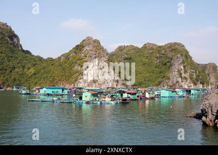 Il villaggio galleggiante di pescatori di Cai Beo e le rocce carsiche nella baia di LAN ha, nella baia di ha Long, in Vietnam Foto Stock