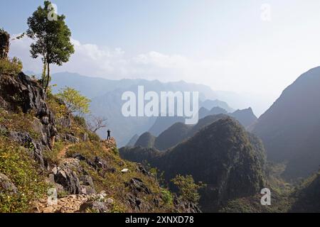 Rocce carsiche nell'altopiano carsico di Dong Van Karst, UNESCO Global Geopark, provincia di ha Giang, Vietnam Foto Stock