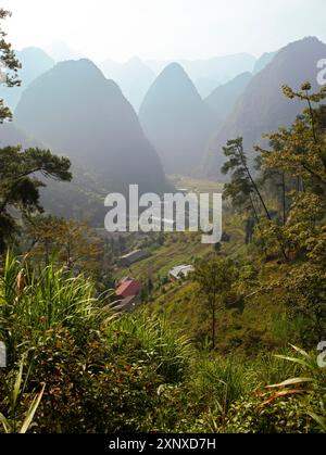 Rocce carsiche nell'altopiano carsico di Dong Van Karst, UNESCO Global Geopark, provincia di ha Giang, Vietnam Foto Stock