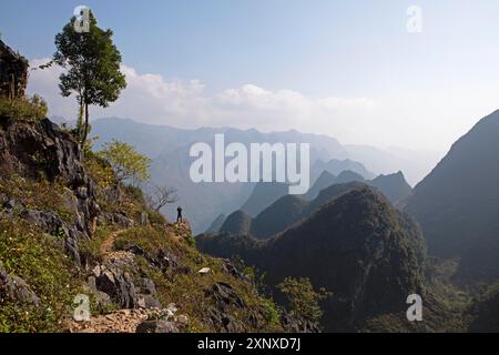 Rocce carsiche nell'altopiano carsico di Dong Van Karst, UNESCO Global Geopark, provincia di ha Giang, Vietnam Foto Stock