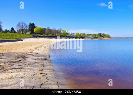 Spiaggia del lago Senftenberg Grosskoschen nel distretto dei laghi Lusaziani, Germania, spiaggia del lago Senftenberg Grosskoschen Lusatian Lake District, Germania Foto Stock