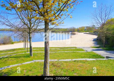 Spiaggia del lago Senftenberg Grosskoschen nel distretto dei laghi Lusaziani, Germania, spiaggia del lago Senftenberg Grosskoschen Lusatian Lake District, Germania Foto Stock