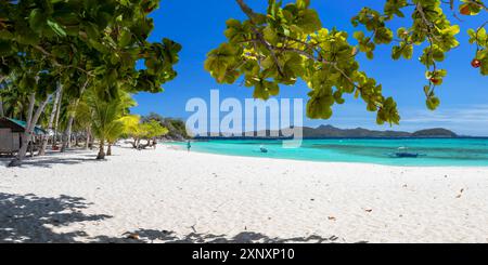 Isole Malcapuya, Coron, Palawan, Filipine, Sud-est asiatico, Asia Copyright: IanxTrower 800-4107 Foto Stock