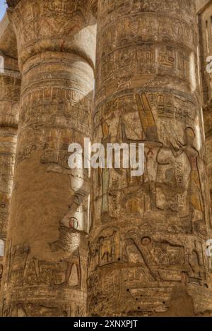 Colonne del grande Papiro, Ipostilo, complesso del tempio di Karnak, sito patrimonio dell'umanità dell'UNESCO, Luxor, Egitto, Nord Africa, Africa Copyright: RichardxMaschme Foto Stock