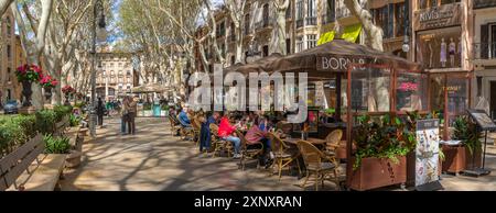 Vista dei caffè sul Paseo del Borne, Palma de Mallorca, Maiorca, Isole Baleari, Spagna, Mediterraneo, Europa Copyright: FrankxFell 844-34430 Editorial Foto Stock