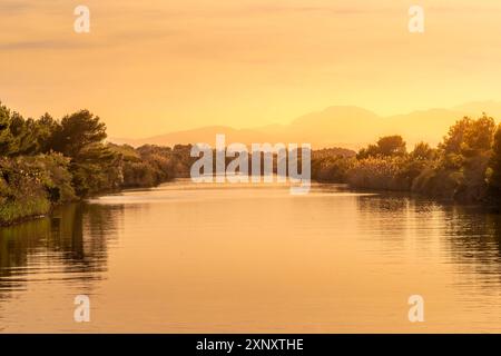 Vista del canale nel Parc Natural de S Albufera de Mallorca, Maiorca, Isole Baleari, Spagna, Mediterraneo, Europa Copyright: FrankxFell 844-34570 Foto Stock