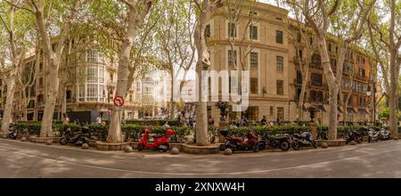 Vista dei caffè sul Paseo del Borne, Palma de Mallorca, Maiorca, Isole Baleari, Spagna, Mediterraneo, Europa Copyright: FrankxFell 844-34599 Editorial Foto Stock
