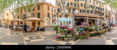 Vista della bancarella dei fiori e del caffè sul viale alberato la Rambla a Palma, Palma de Mallorca, Maiorca, Isole Baleari, Spagna, Mediterraneo, Europa Copyright: Foto Stock
