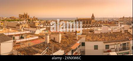 Vista della Catedral-Basilica de Santa Maria de Mallorca e dei tetti, Palma de Mallorca, Maiorca, Isole Baleari, Spagna, Mediterraneo, Europa Copyrigh Foto Stock