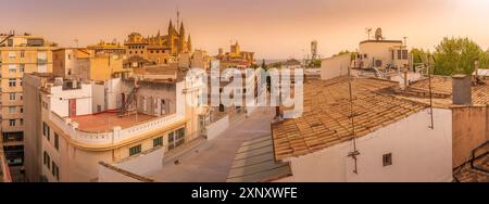 Vista della Catedral-Basilica de Santa Maria de Mallorca e dei tetti, Palma de Mallorca, Maiorca, Isole Baleari, Spagna, Mediterraneo, Europa Copyrigh Foto Stock