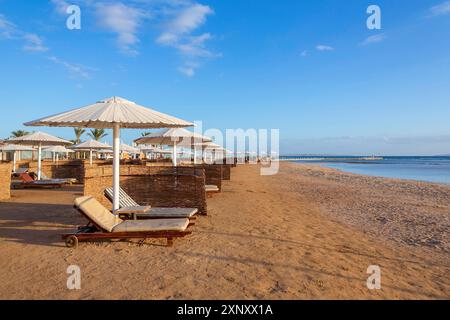 Costa egiziana con ombrelloni e lettini sulla spiaggia vicino al mare rosso Foto Stock