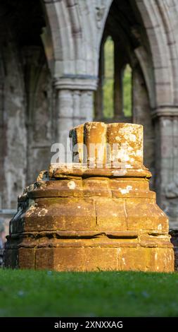 Base di colonne in pietra all'interno delle rovine medievali della chiesa bagnata dalla calda luce del sole Foto Stock