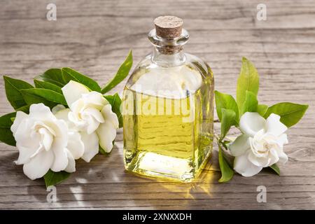 Gardenia olio essenziale sulla bottiglia di vetro con contagocce su un tavolo di legno Foto Stock