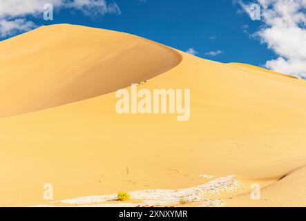 Safari in jeep fuoristrada nel bellissimo deserto di Omani Rub al-Chali Foto Stock