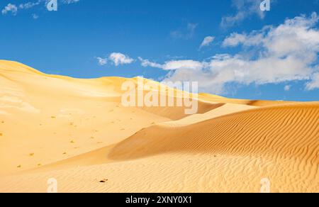 Safari in jeep fuoristrada nel bellissimo deserto di Omani Rub al-Chali Foto Stock