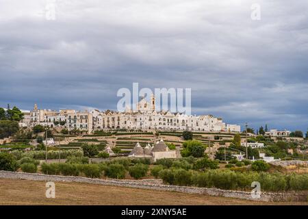 Vista dello skyline di Locortondo in Puglia da un campo di ulivo Foto Stock