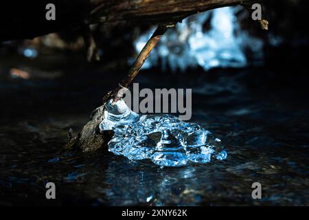 Cristalli di ghiaccio su radici e rami in un torrente nel Westerwald, Germania Foto Stock