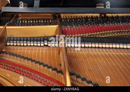 All'interno di un pianoforte a coda con cornice metallica, archi, martello e smorzatore, vista sulla meccanica di un vecchio strumento musicale acustico, concetto per la musica Foto Stock